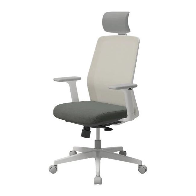 SIDIZ T40 SE Ergonomic Office Chair