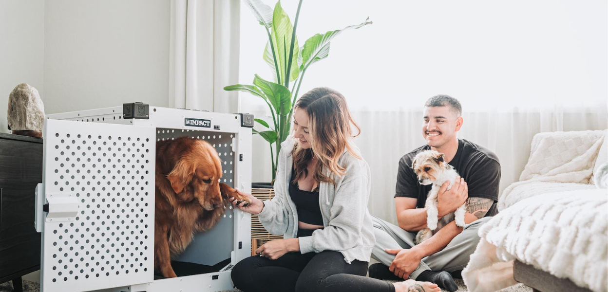 Impact Dog Crates