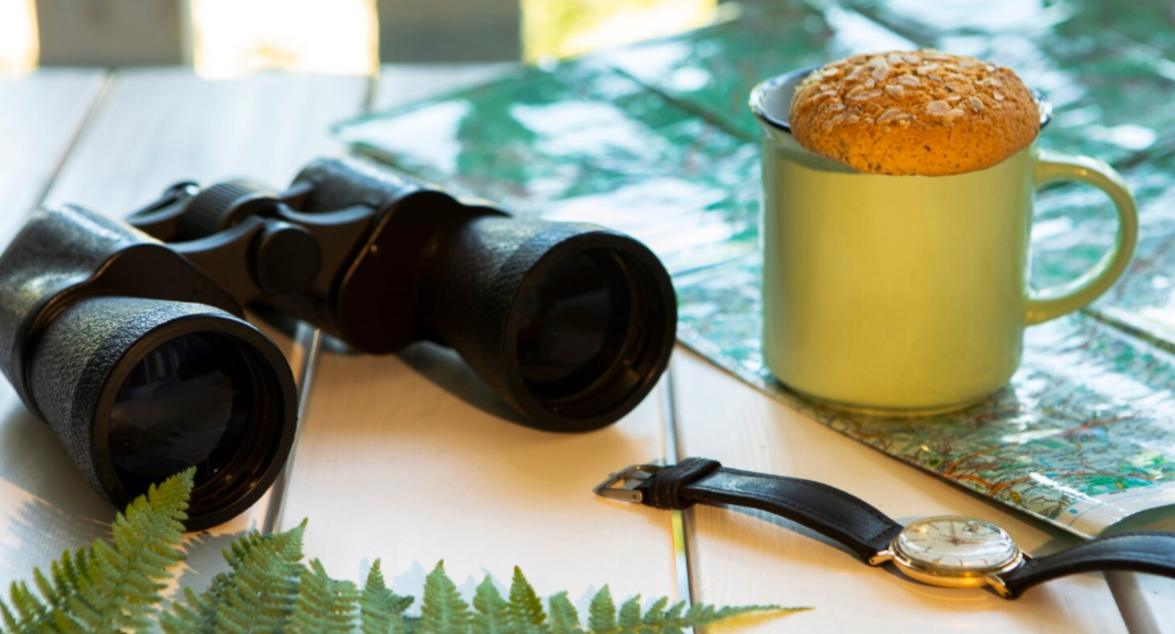 Top Birdfy Smart Bird Watching Gadgets