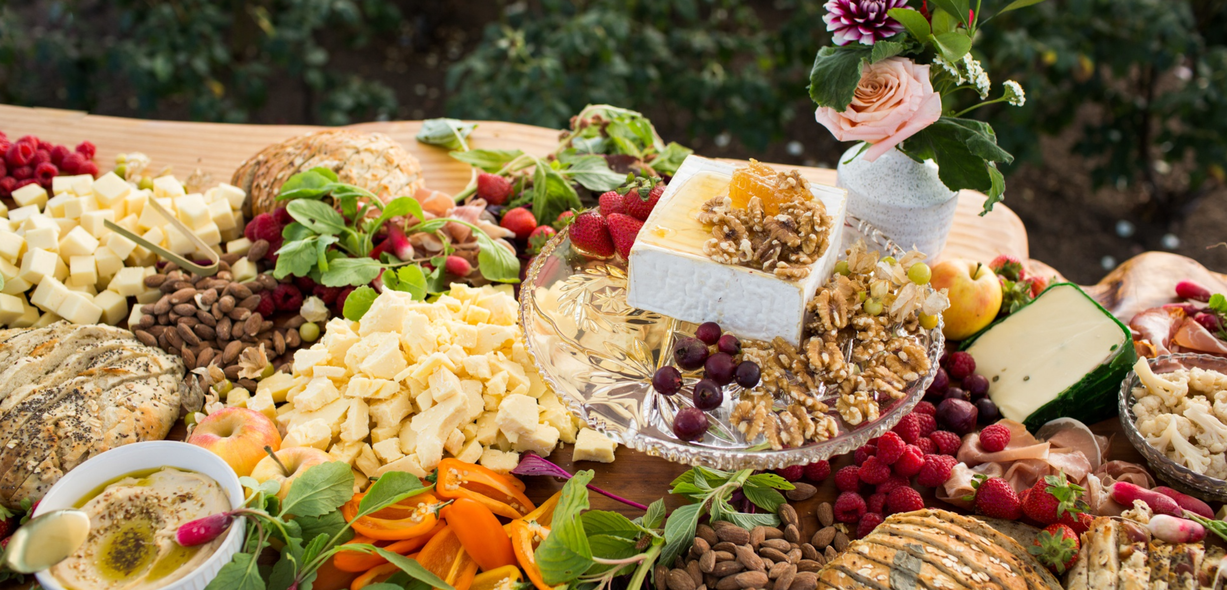 Wild Harvest Review: Top Organic Food Picks for Everyday Health